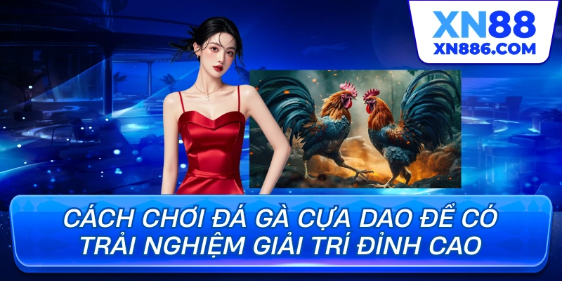 Cách chơi đá gà cựa dao để có trải nghiệm giải trí đỉnh cao