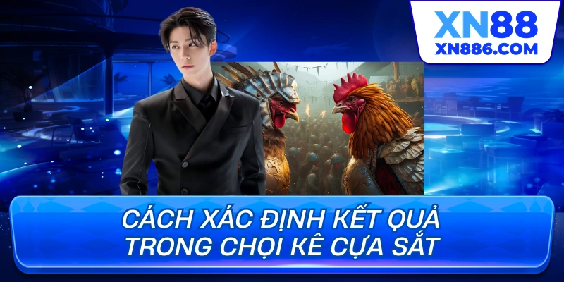 Cách xác định kết quả trong chọi kê cựa sắt