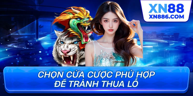 Chọn cửa cược phù hợp để tránh thua lỗ