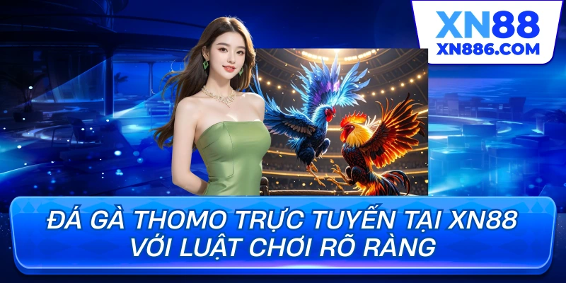 Đá gà thomo trực tuyén tại xn88 với luật chơi rõ ràng