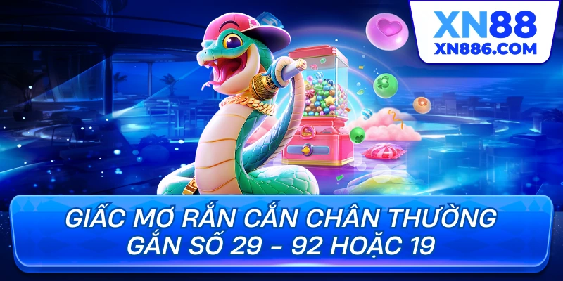 Giấc mơ rắn cắn chân thường gắn số 29 - 92 hoặc 19