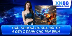 Luật chơi đá gà cựa sắt từ a-z dành cho tân binh