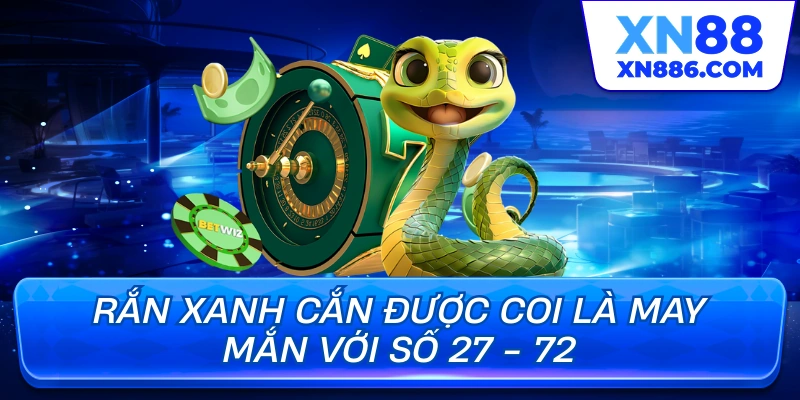  Rắn xanh cắn được coi là may mắn với số 27 - 72